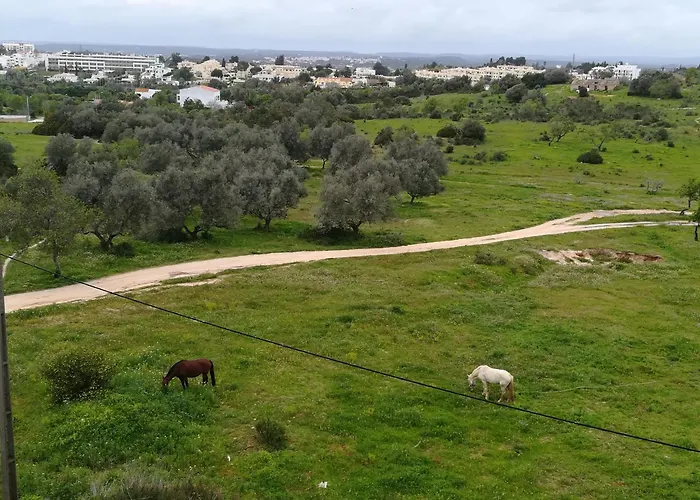 דירה Excelente Mar E Serra-