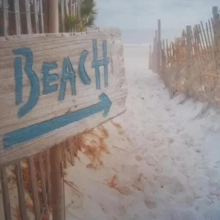 Excelente Mar E Serra- *