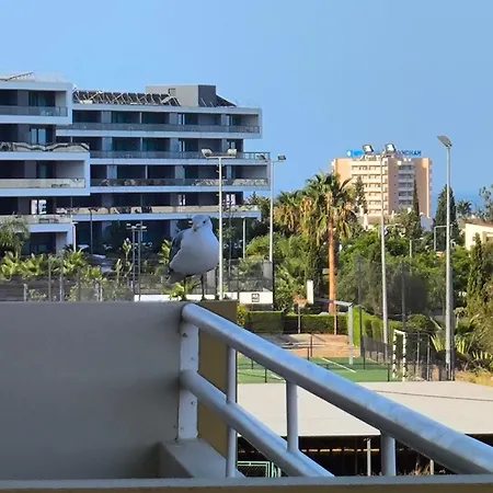 Excelente Mar E Serra- * 阿尔沃尔