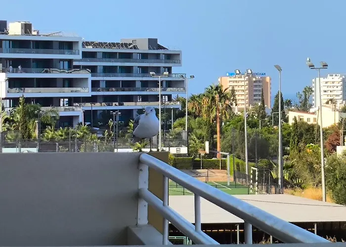 Excelente Mar E Serra- * 阿尔沃尔